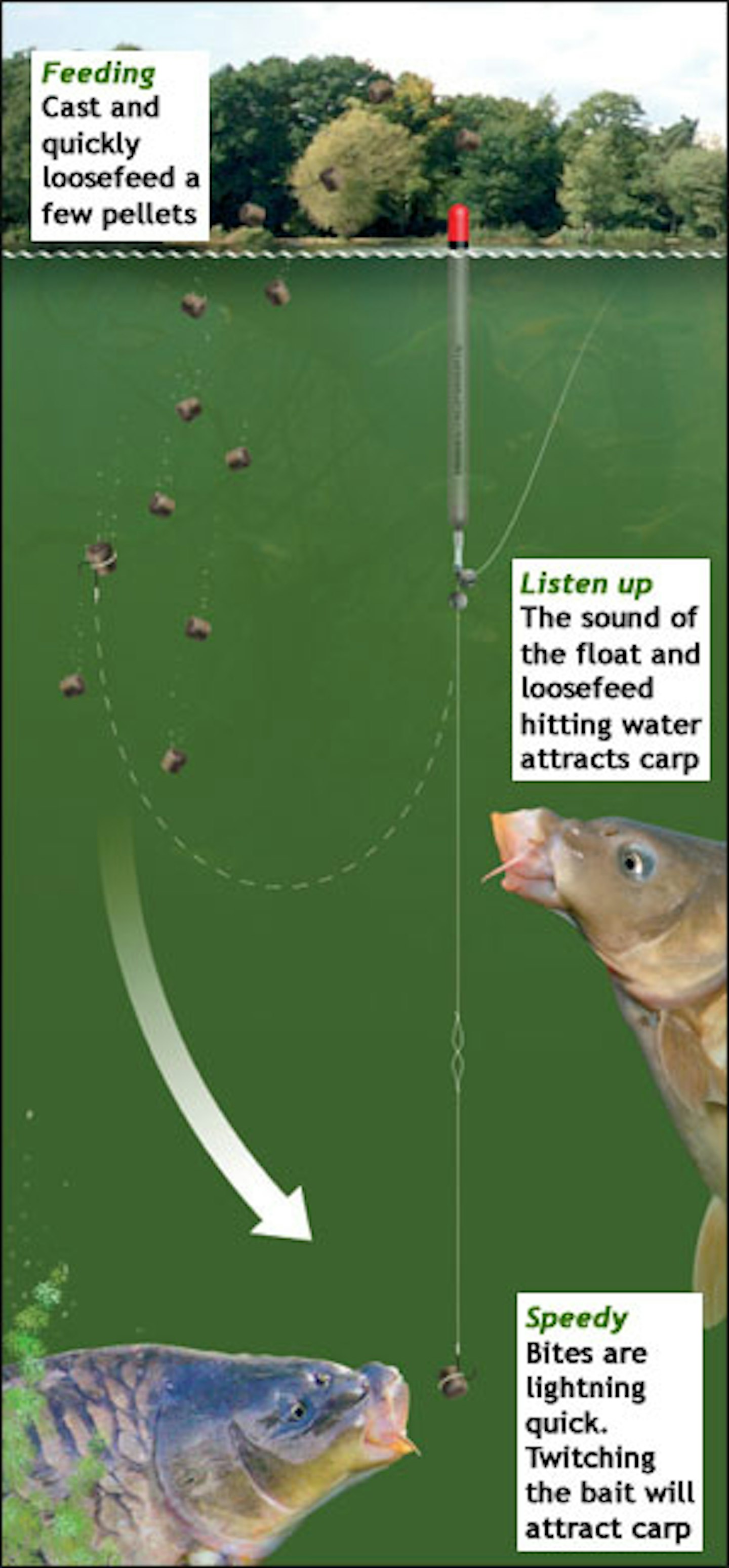 HOW TO FISH THE PELLET WAGGLER Angling Times